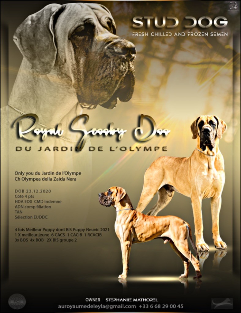 Royal scooby doo Du jardin de l'olympe