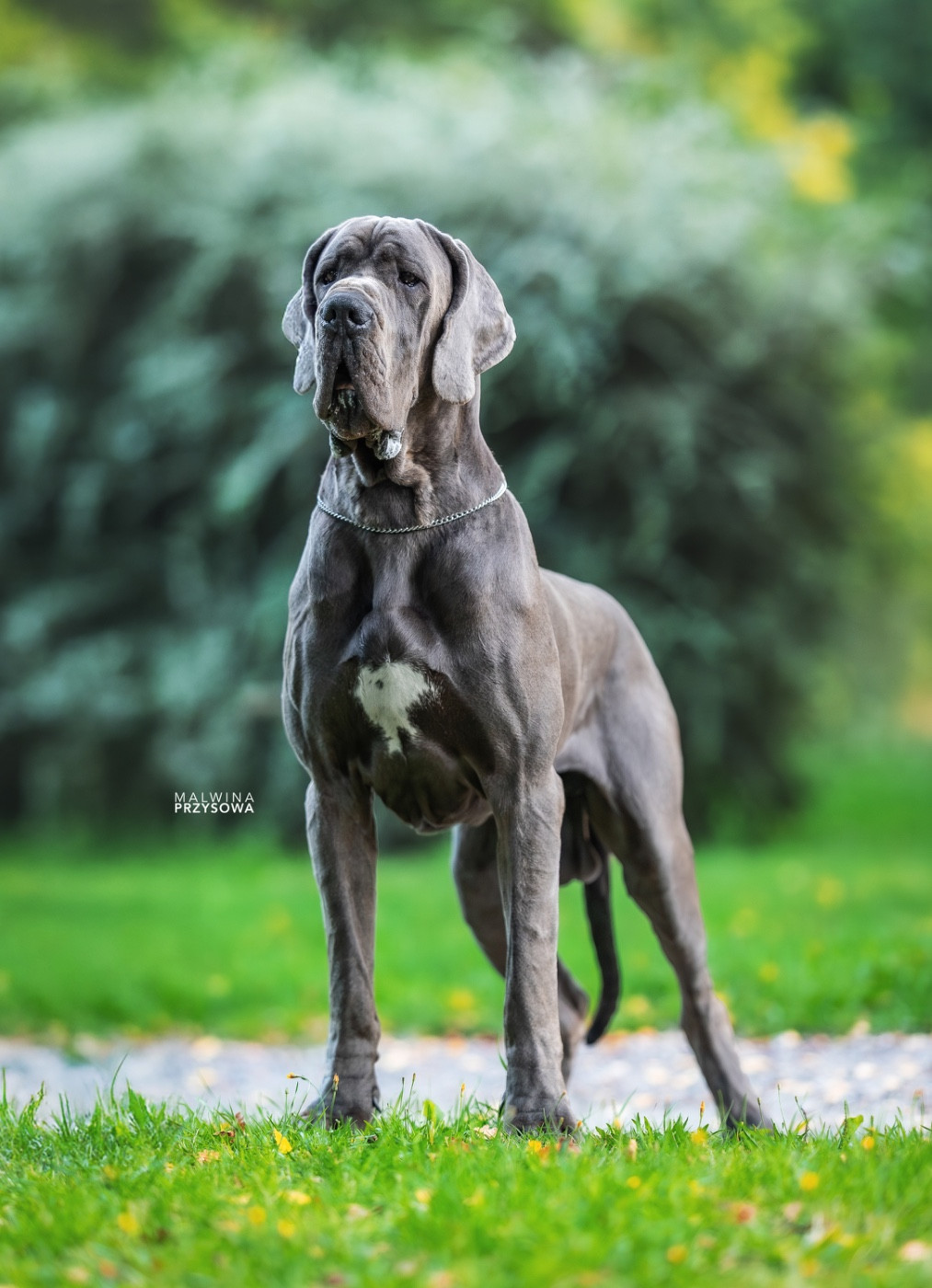 Valmont Au Royaume De Leyla